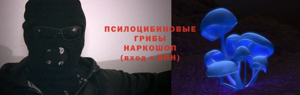 МДПВ Аркадак