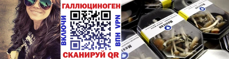 где можно купить наркотик Правдинск Галлюциногенные грибы MAGIC MUSHROOMS